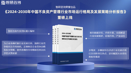 2024年中國不良資產(chǎn)管理產(chǎn)業(yè)現(xiàn)狀與趨勢(shì)分析
